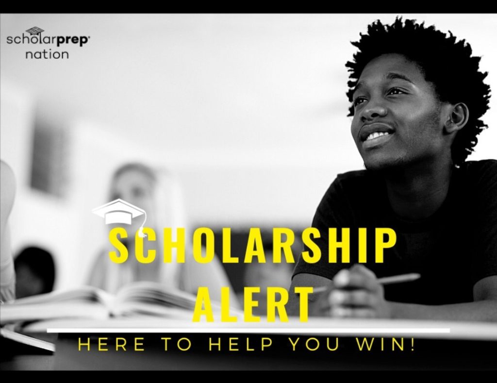 Scholarship vs student loan 